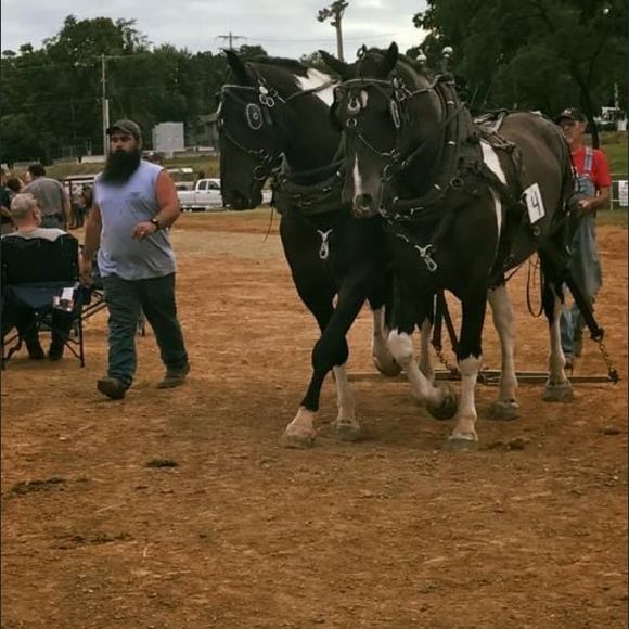 farmallpulling1